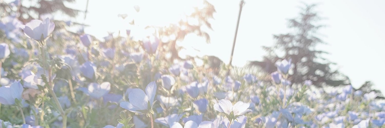 茉來 banner