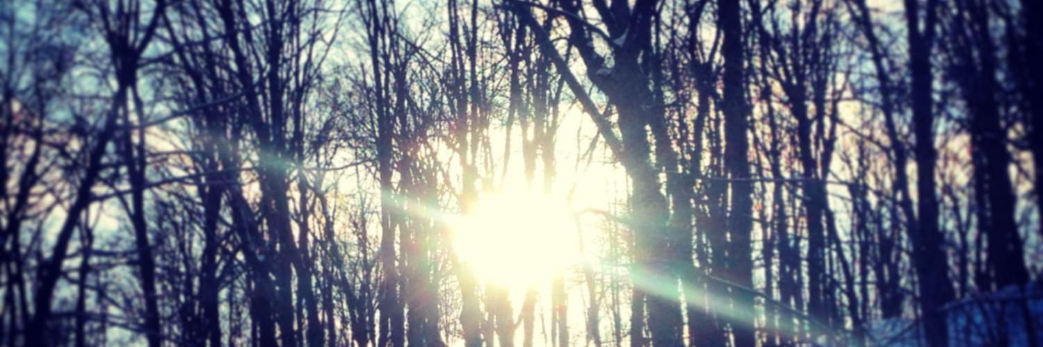 simonehto's profile banner image