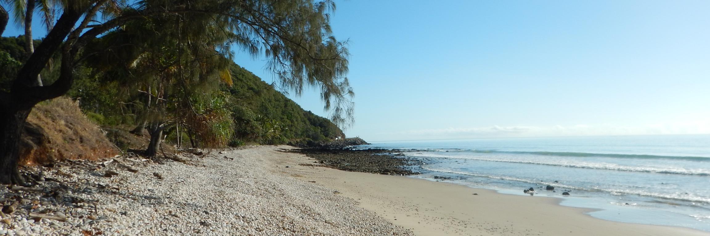 Dr Sophia Luikinga banner