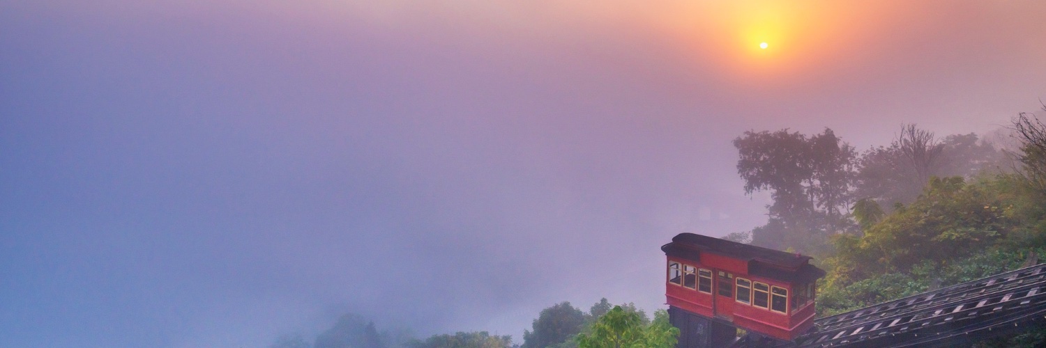 Ann Lee 🇺🇸 🇺🇦 banner