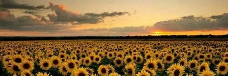 _Marialej16's profile banner image