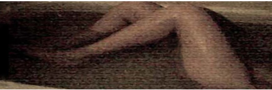 suczy gaj banner