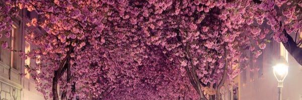 lorenmoreton's profile banner image