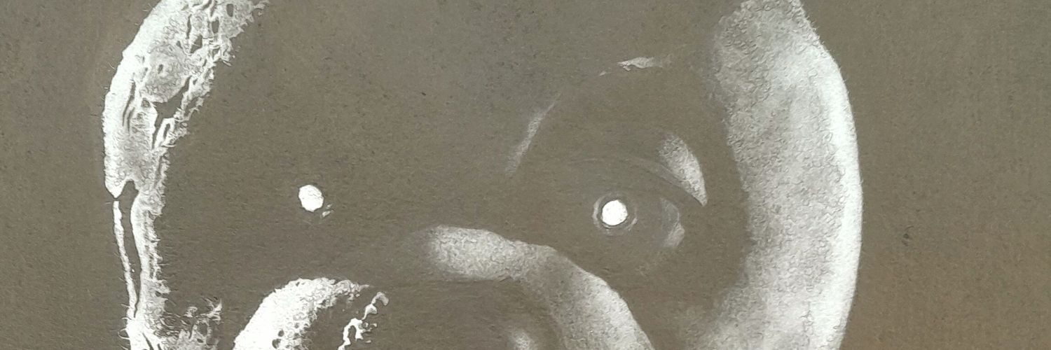 Mister Topper banner