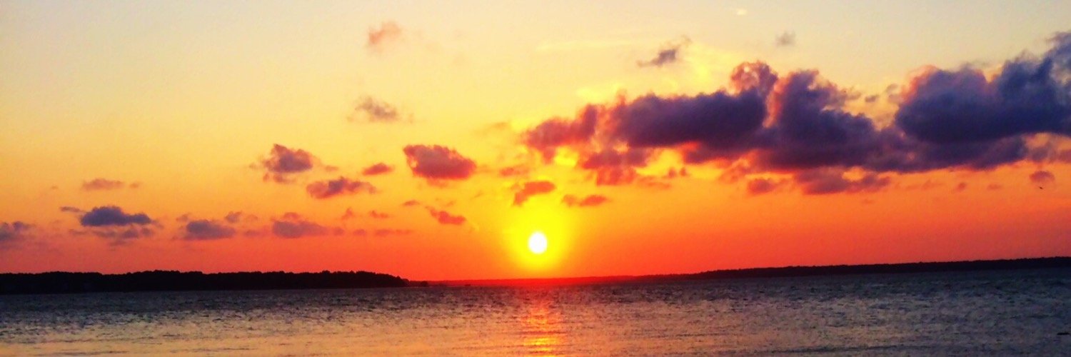 mayahershkowitz's profile banner image