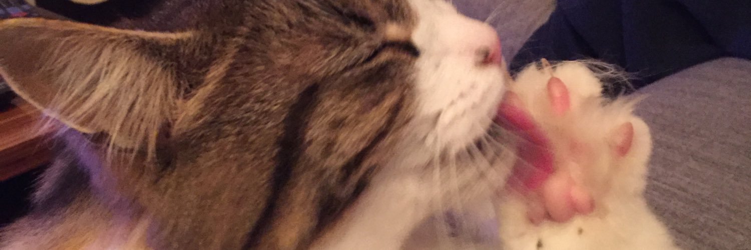 MufftheSqueaky's profile banner image