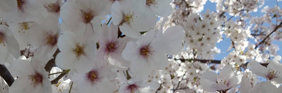 み banner
