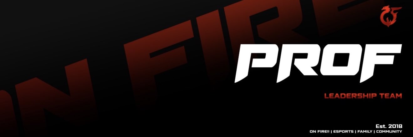 The professor banner