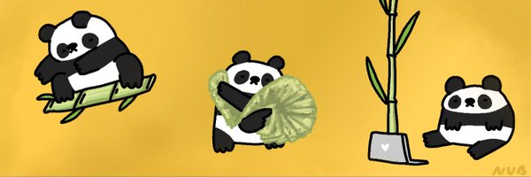 pandaa Profile Banner