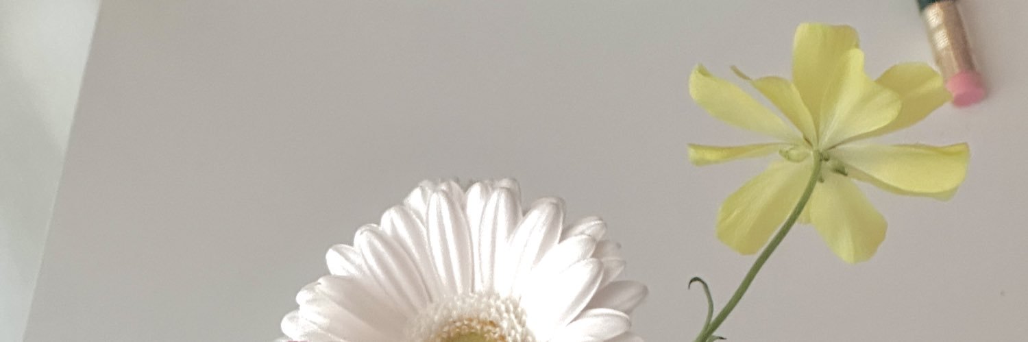 Judy's banner