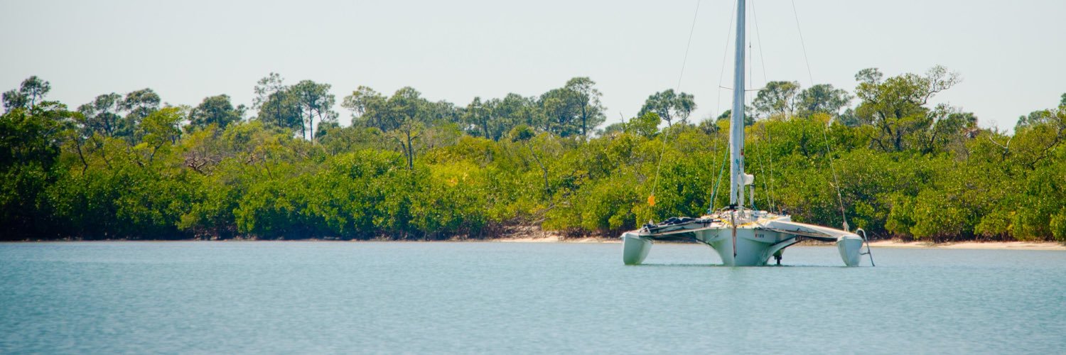 Tomás K. Ryan banner