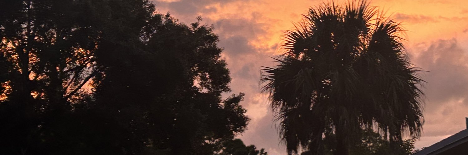 KaylaDH314's profile banner image