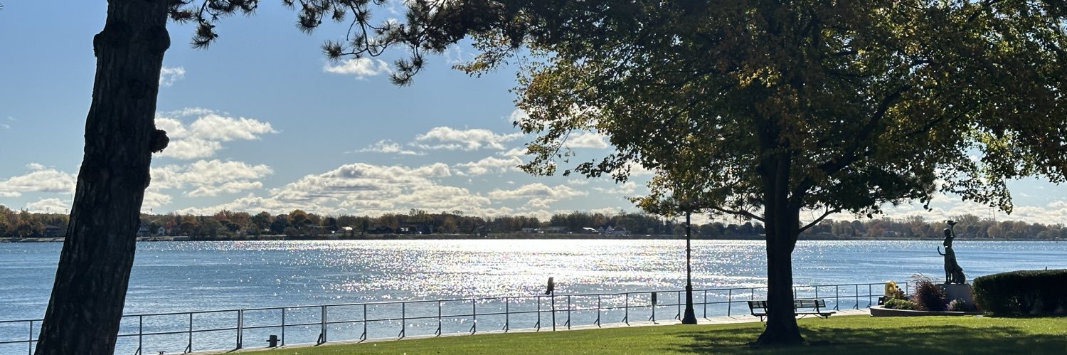 notaloony2n_inMI banner