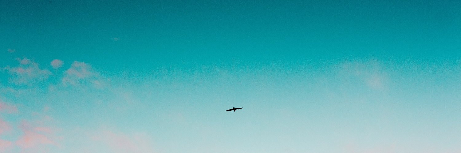 myalcin81's profile banner image