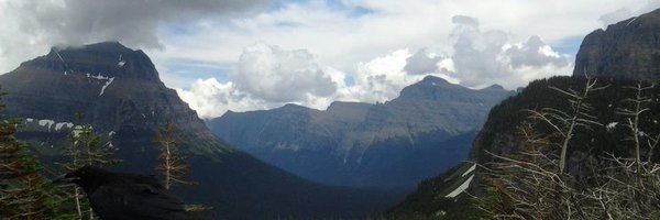PawncawPope Profile Banner