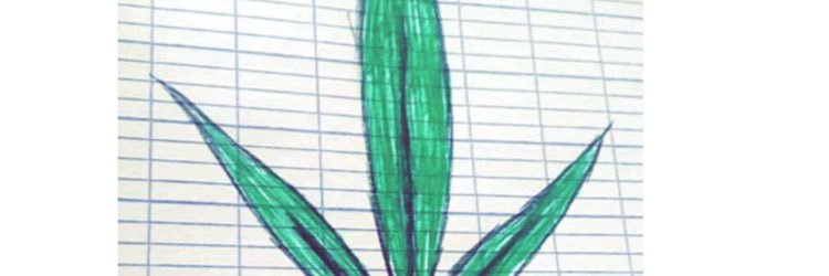 AlgWilliam's profile banner image