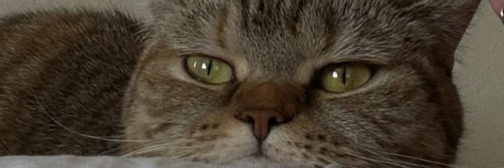 Tsdmrmustafa's profile banner image