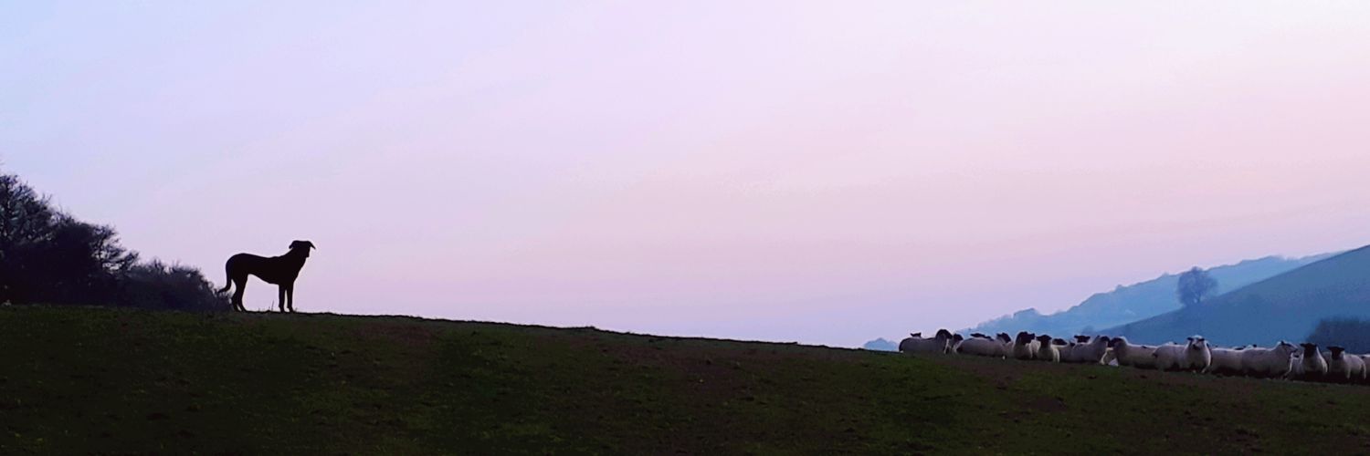 Richard Felce banner