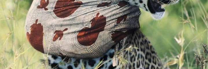 callmeucheben's profile banner image