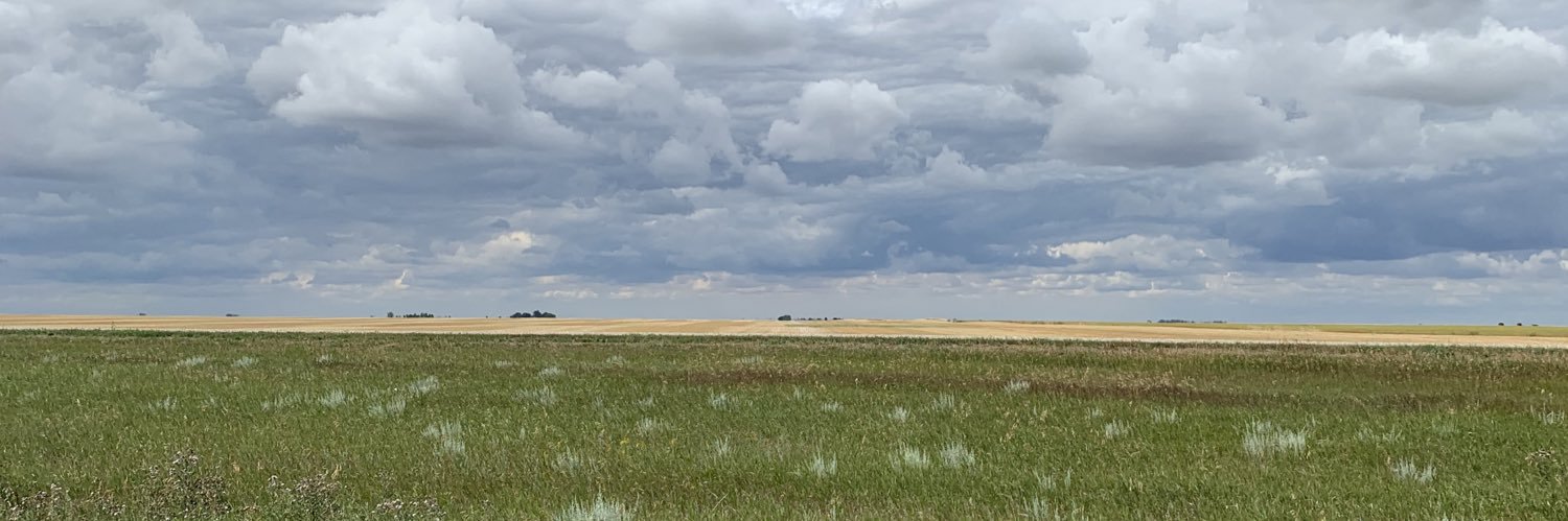 Andrea Morphy banner