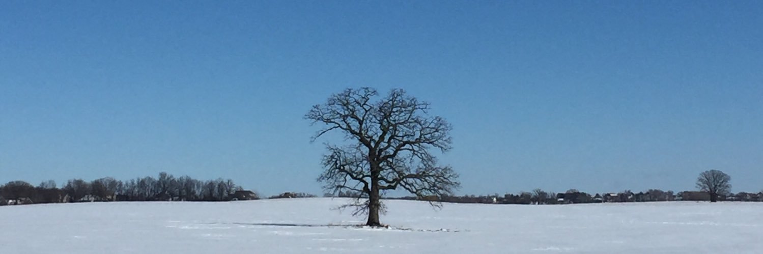 Mepursley's profile banner image