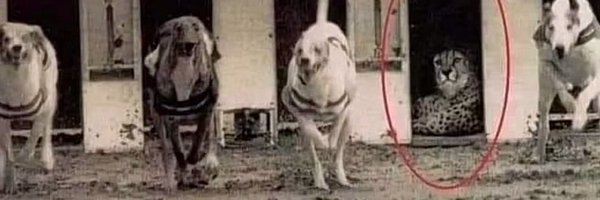 IsaiahGladney2 Profile Banner