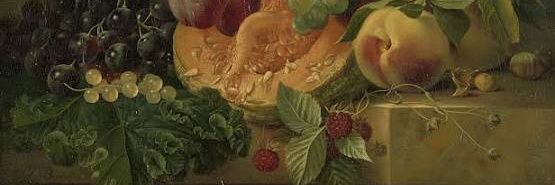 Dawn🌳Marie banner