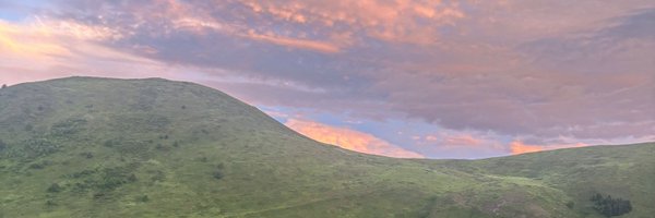 ruilibing Profile Banner