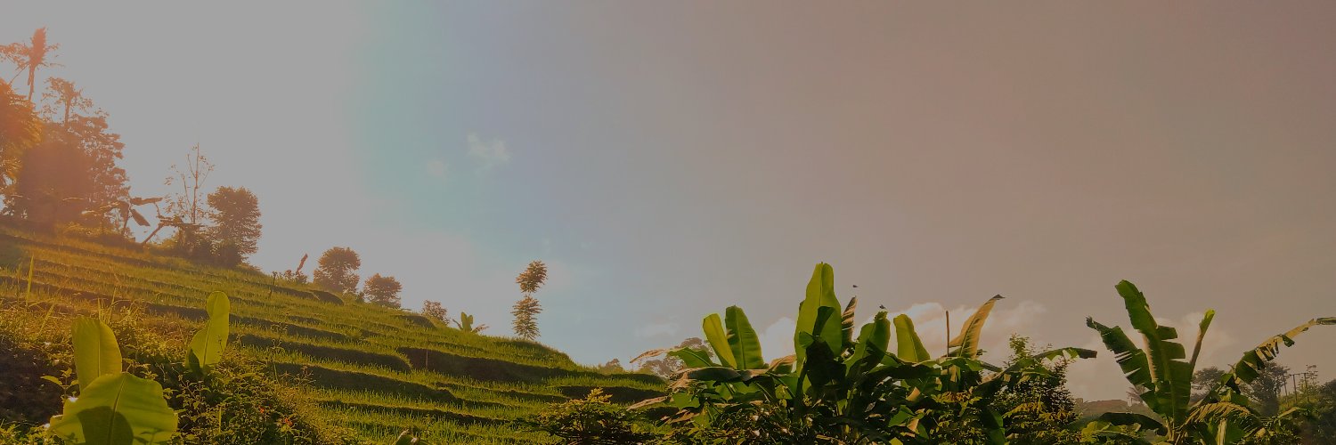 ratnasch's profile banner image