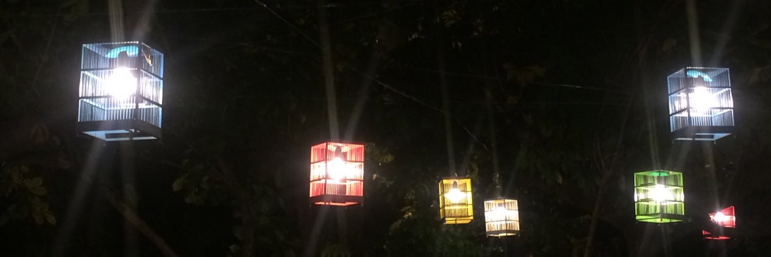 tazziimutt's profile banner image