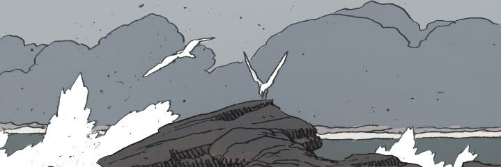 alohoomooraaa's profile banner image