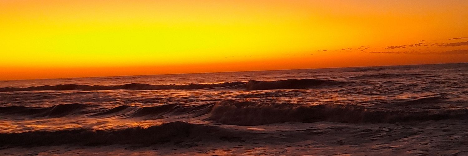 rocio_pea2's profile banner image