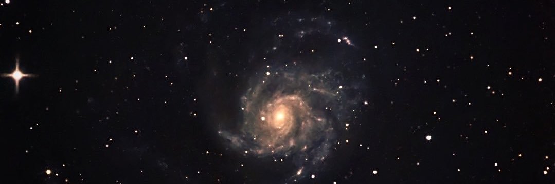 renatomassonn's profile banner image