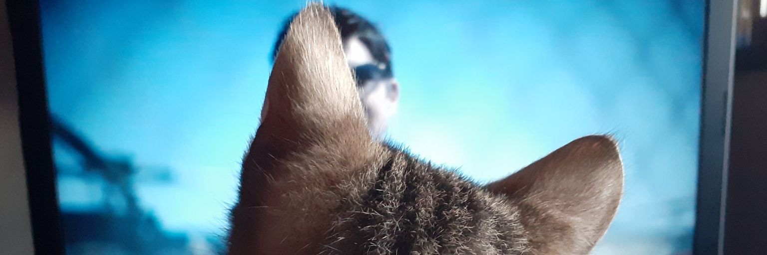 lolyht's profile banner image