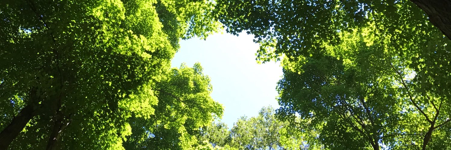 pooplissa's profile banner image