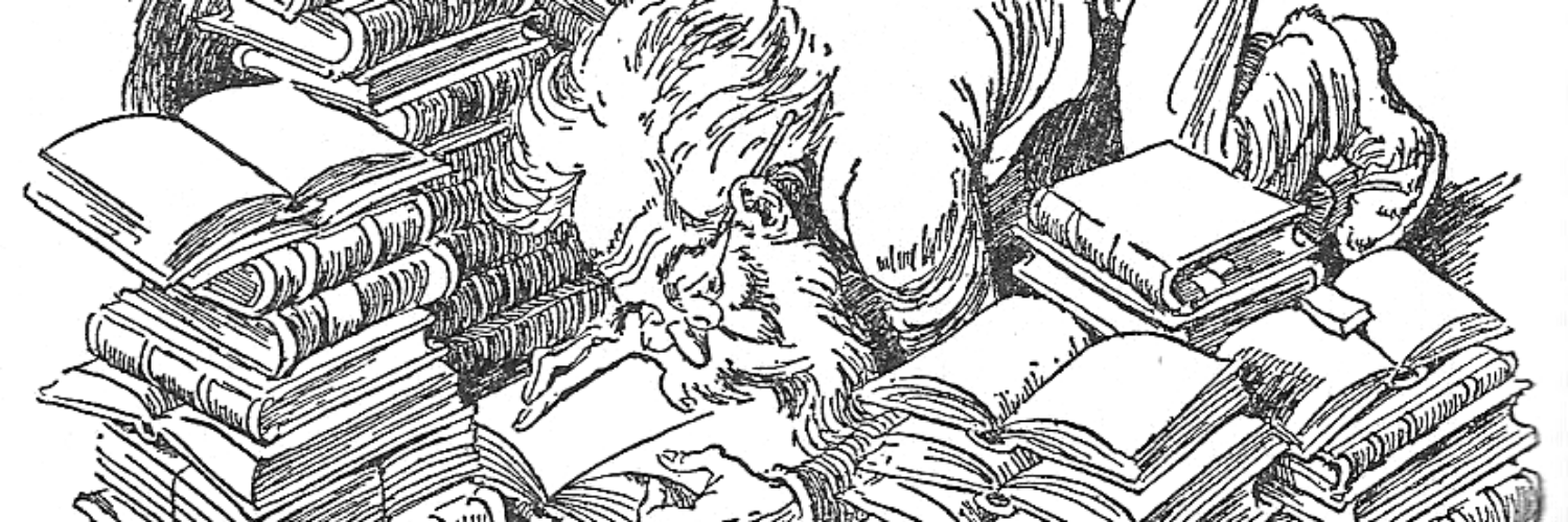 meta_ed's profile banner image