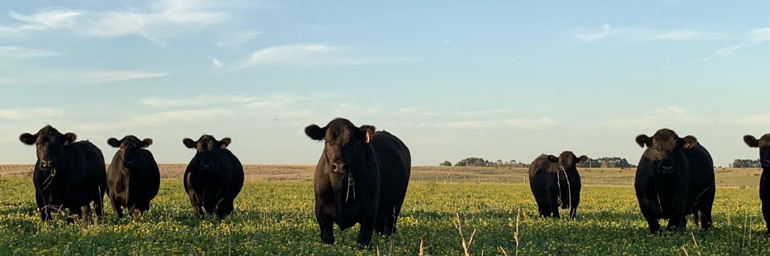 vascooa's profile banner image
