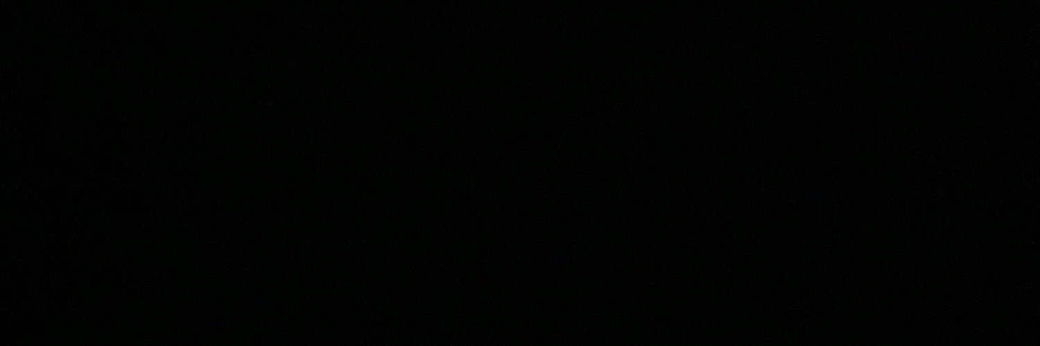 Xavier banner