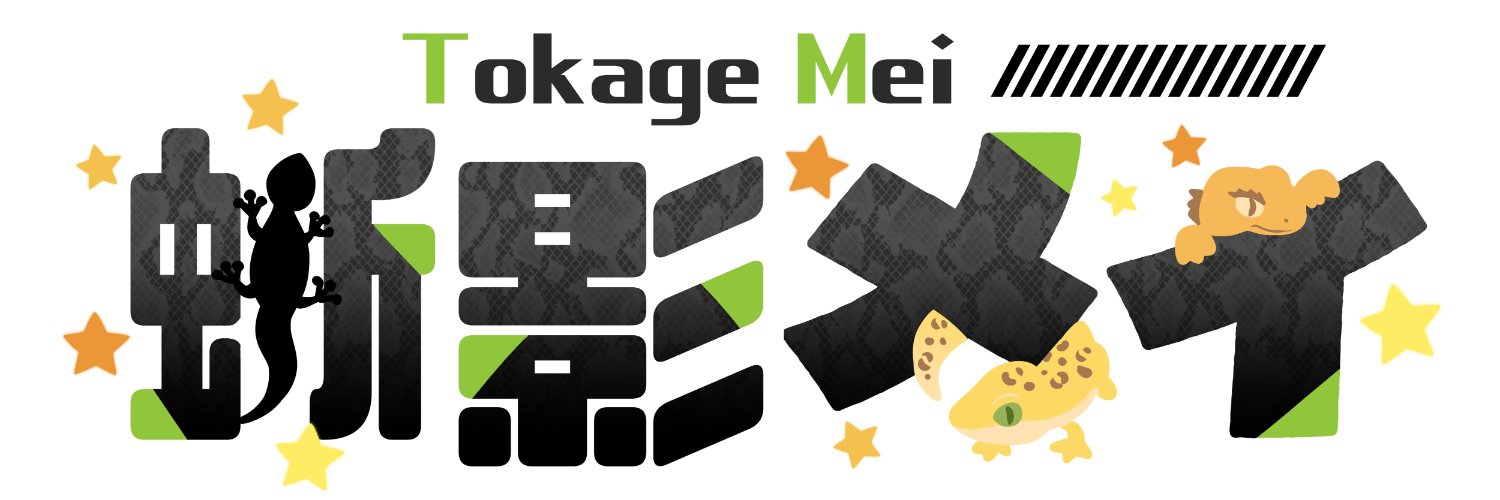 蜥影メイ🦎VTuber banner