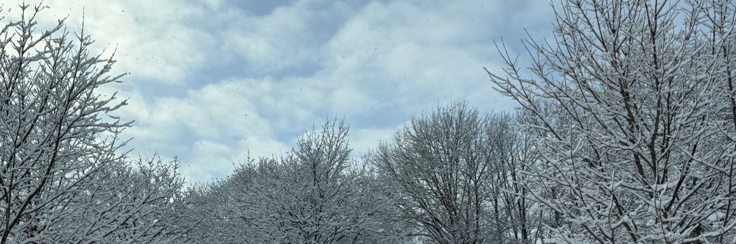 sora🕊️ banner