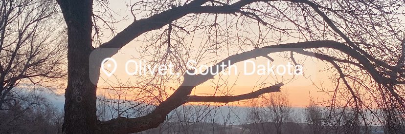 BizonGraphics75 banner