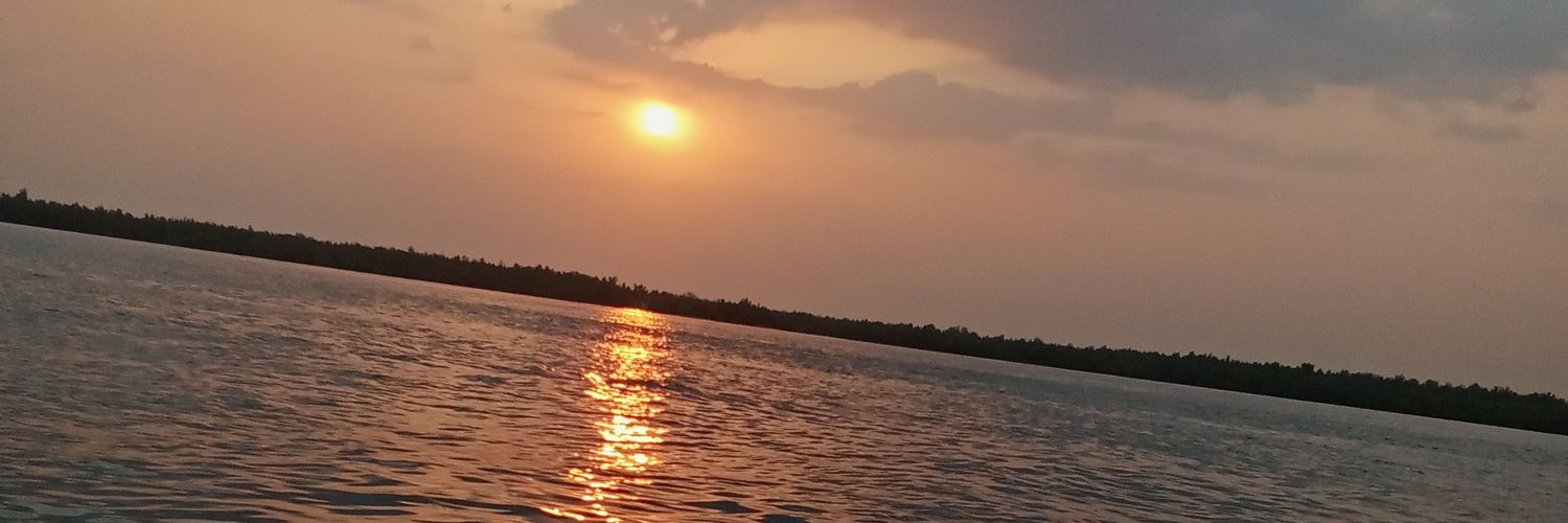 cryptoverse 💹🧲 banner