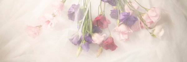 about__her_ Profile Banner