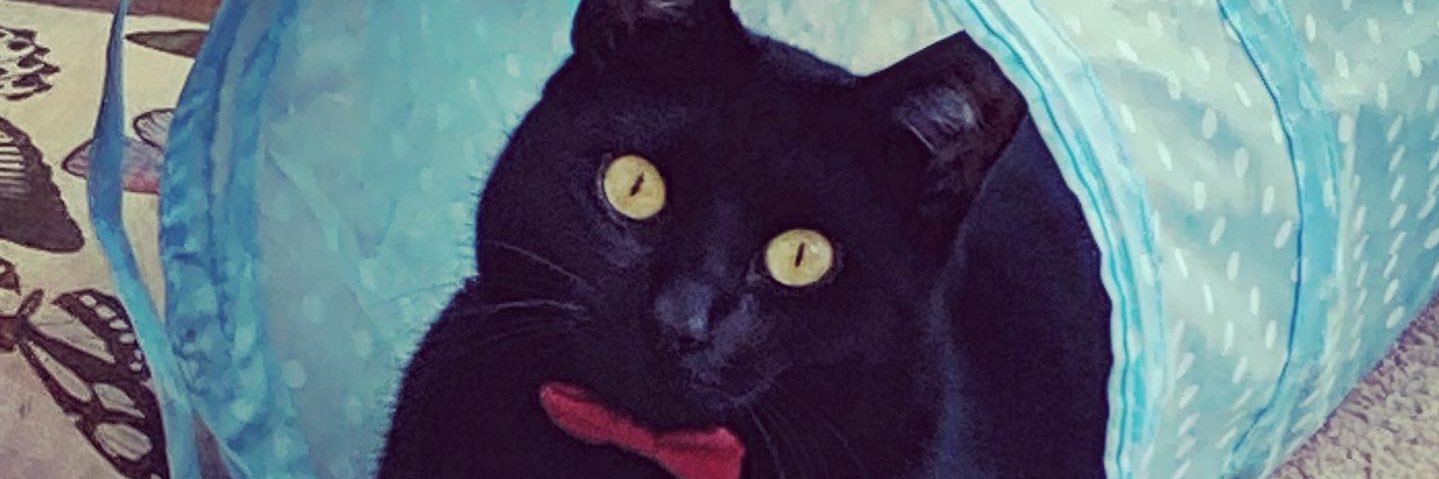 SpudMeSKQ's profile banner image