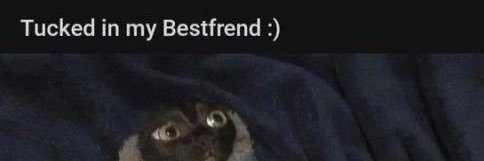 guy 🧦🔞 banner