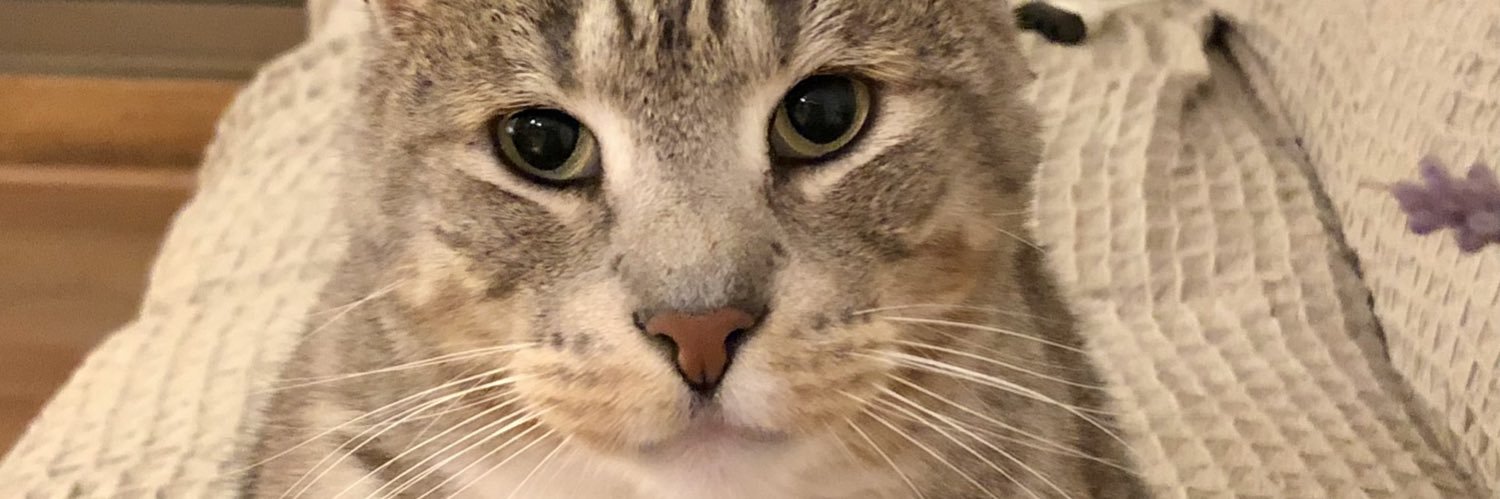 sujetobjeto's profile banner image