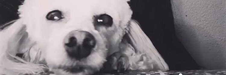 Phanxi's profile banner image