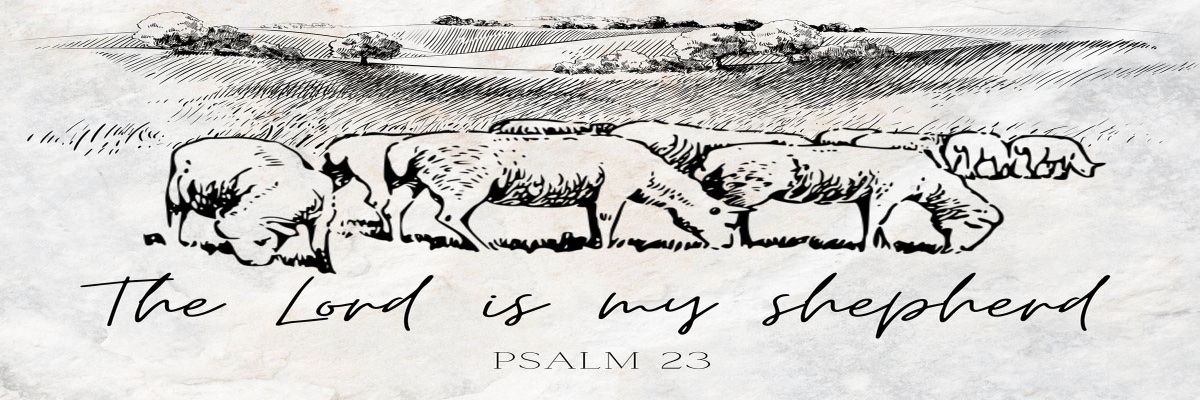 Patrick COHEN banner