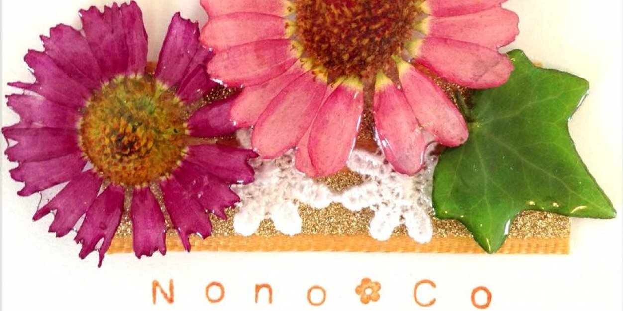 Nono.Co banner