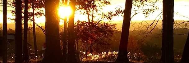 BethCattunar's profile banner image